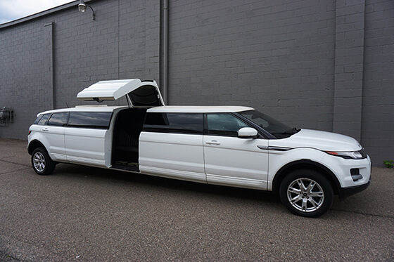 12-passenger limo rental